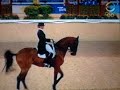 Isabell Werth's Mishap