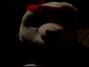 aint-nothin-like-a-pandah-beayer.html