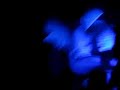 PASCAL FEOS - Family Club, Sonseca (12-6-2004) #...