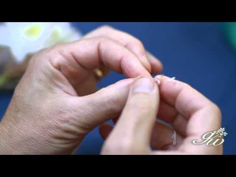 how to collect rhododendron seeds