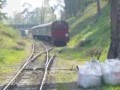 Thomas-Day-Out