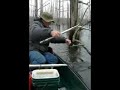 Catfish Yo Yo Fishing on Cane Creek Lake (video) Catfish Yo Yo Fishing on Cane Creek Lake (video)