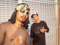 Trevo de quatro folhas - Tipo Istranho