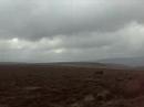 Grassington Gas