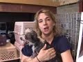 TN Puppy Mill Rescue: Day 3 TN Puppy Mill Rescue: Day 3