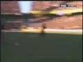 Central 3  Pechos Frios 0