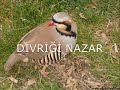 divri?i nazar turizm the great mosque of divrigi tourism divri?i nazar turizm the great mosque of divrigi tourism