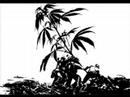dizzy baker - Destination Calabria Manele-Gratis.net