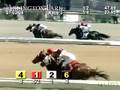 ARLINGTON PARK, 2008-07-03, Race 3