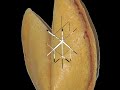 Click here to watch this video funny fortune cookie - 16