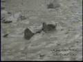 debris flow event | 25 December 2003 | Devore, California