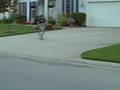 bmx tricks