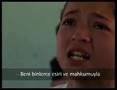 videos de plaestine school