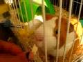 Tobi y Alvin