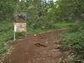Hawaii Nature Tours 2 - Maunawili Falls Trail (Oahu)