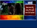Special story on Tollywood Comedy hero Allari Naresh