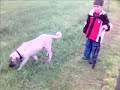 kangal hikayesi