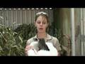 clip video Urban Species The Experience