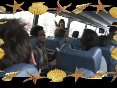 See video See video