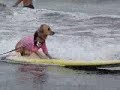 2008 Surf Dog \"Best Surfing\" Videos Remix 2008 Surf Dog \"Best Surfing\" Videos Remix