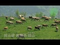 しのうどん動画5