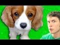 CUTE TALKING PUPPY!!