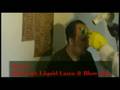 videos de Dr. Dolphiend (The Alien One)