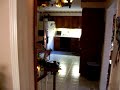 Black Labrador gets a beer from the fridge