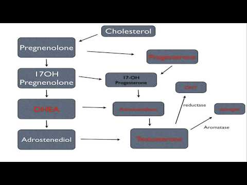 how to treat low testosterone