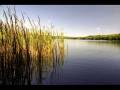 videos de Relax & Earn money online with ei42.com/theodore