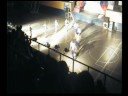 Reales brillantes campeonato 2008