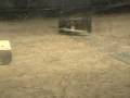 videos de SubZero vs. The Mortician - RG06
