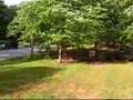 Urban Atlatl throw- on a Windy day
