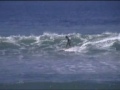pear�surfer