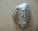 prehistoric  images    2 - faces
