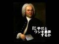 【初音ミク】「にゃ」で無伴奏チェロ組曲 第1番 プレリュード Cello Suite No.1 Prélude