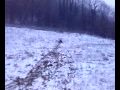 Pazzo in bob si schianta contro un sasso nel terreno