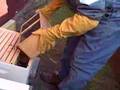 Amature Beekeeper