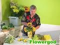 Lemonade Arrangement EP#43 Lemonade Arrangement EP#43