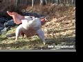 Smooth Turkey