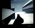 Game Glitches!!