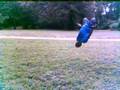 dariel flips