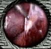 Biotech Implant Biotech Implant