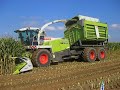 Claas Field Shuttle Oudenaarde Claas Field Shuttle Oudenaarde