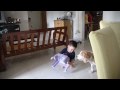 Samuel and Cayden asking Brownie to eat the rice on the floor..