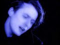 suede - wild ones suede - wild ones