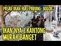 Ikan Hias Air Tawar Tercantik Pasar Parung
