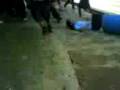 videos de Keka rueda.3gp