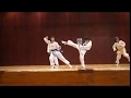 videos de Taekwondo Esch Demo 2008