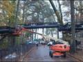 Atlanta Botanical Garden Canopy Walk Installation